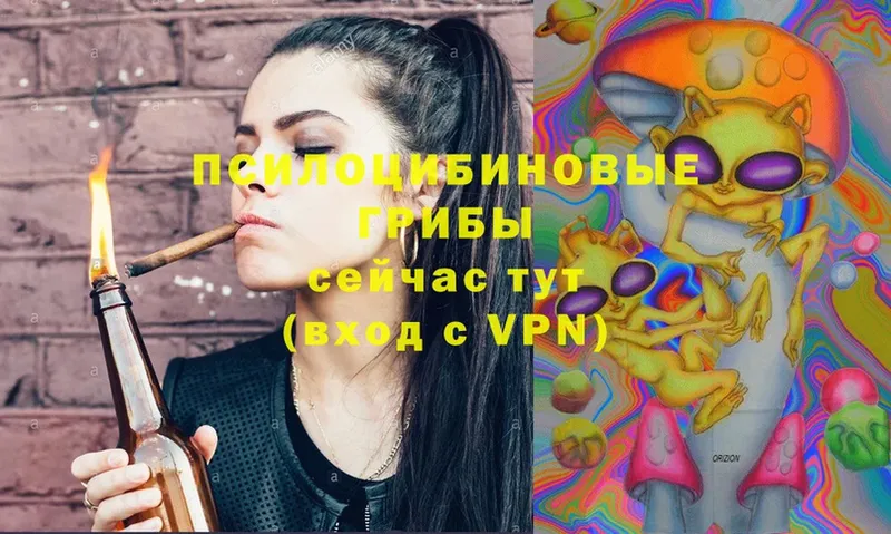 Галлюциногенные грибы Magic Shrooms Кстово